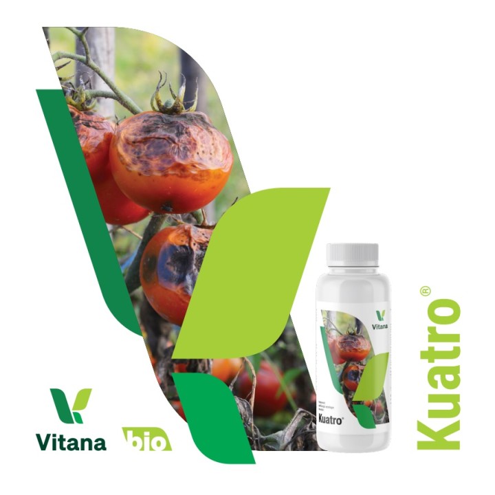 KUATRO® - Tratament Antifungic Ecologic, Vitana - 100 ml