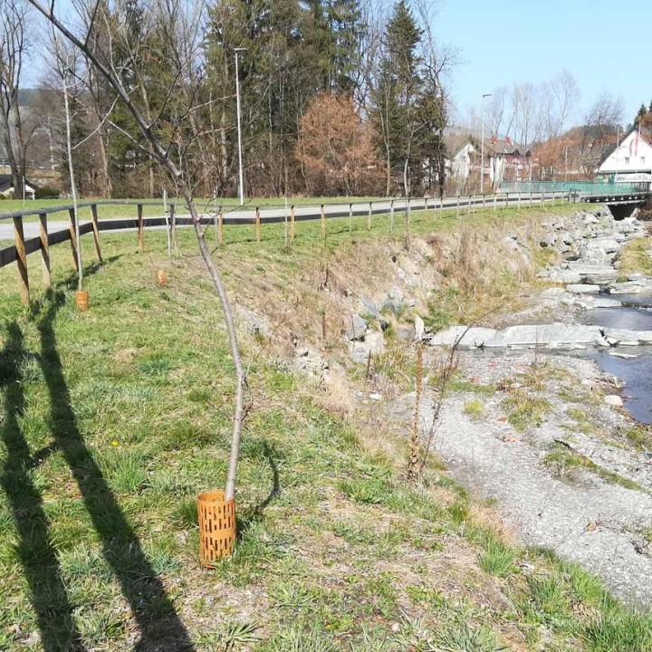 WITA KNABB® PRO - Invelitoare protectie trunchiuri copaci