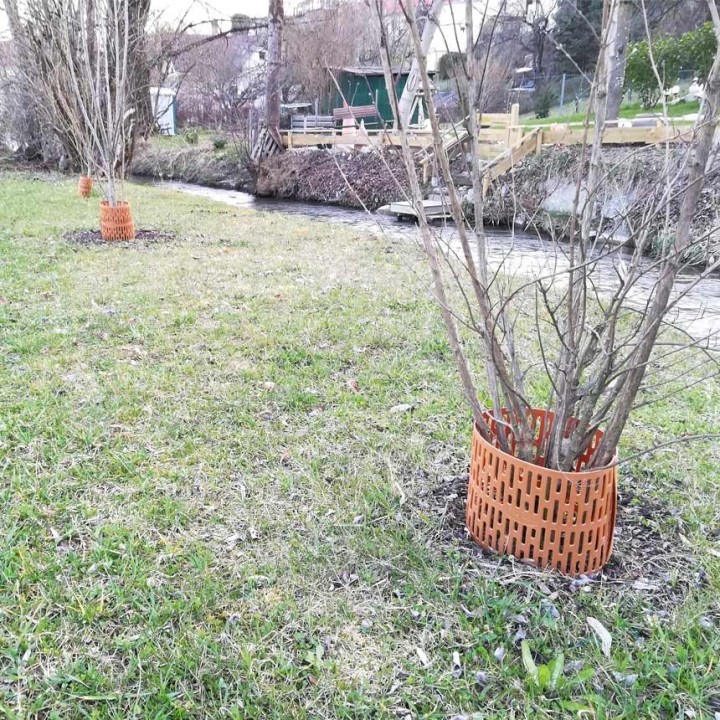 WITA KNABB® PRO - Invelitoare protectie trunchiuri copaci