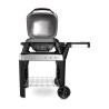Gratar electric Weber PULSE 2000 cu suport - Negru