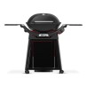 Gratar pe gaz Q2800N Weber + Suport permanent + Regulator - Negru