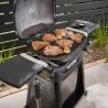Gratar pe gaz Q2800N Weber + Suport permanent + Regulator - Negru
