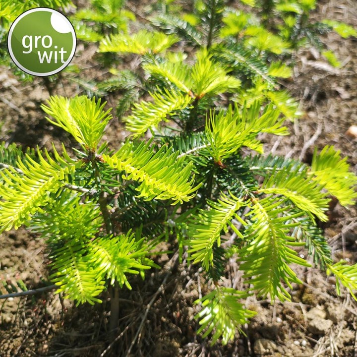GROWIT® 500 g, Hidroganulat organic - Retine in sol Apa si Nutrientii!