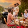 Gratar pe gaz Q3200N Weber cu masute laterale si suport + Regulator - Negru