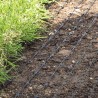 Plasa anticartita PLASTIC NET - rola 1 x 50 m, 40 g/m2, ochiuri 12x12 m