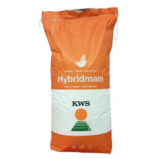 Samanta Porumb KWS LAURO, FAO 300, Grupa ClimaControl3 - Sac 50.000 boabe