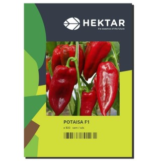 Seminte Ardei lung POTAISA F1 Hektar - 500 seminte