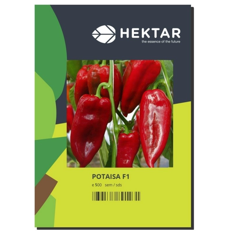 Seminte Ardei lung POTAISA F1 Hektar - 500 seminte