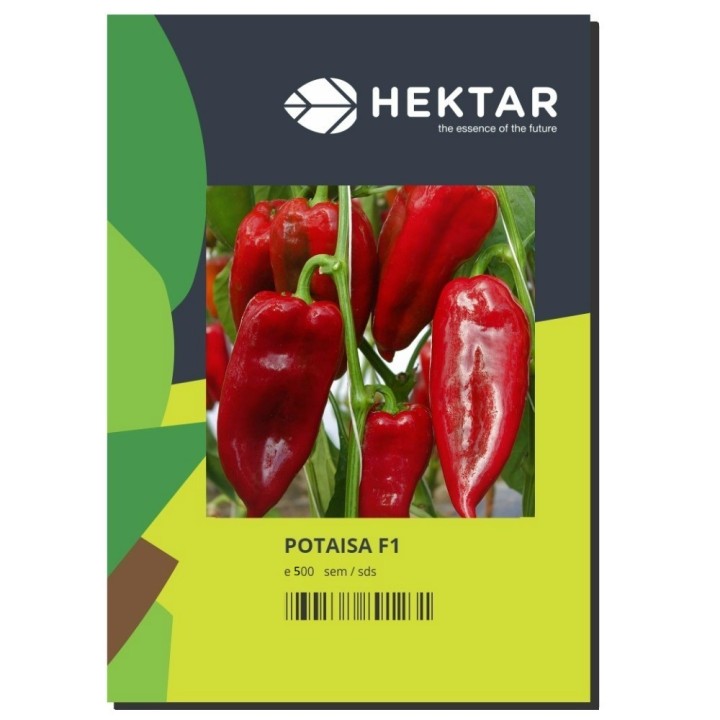 Seminte Ardei lung POTAISA F1 Hektar - 500 seminte