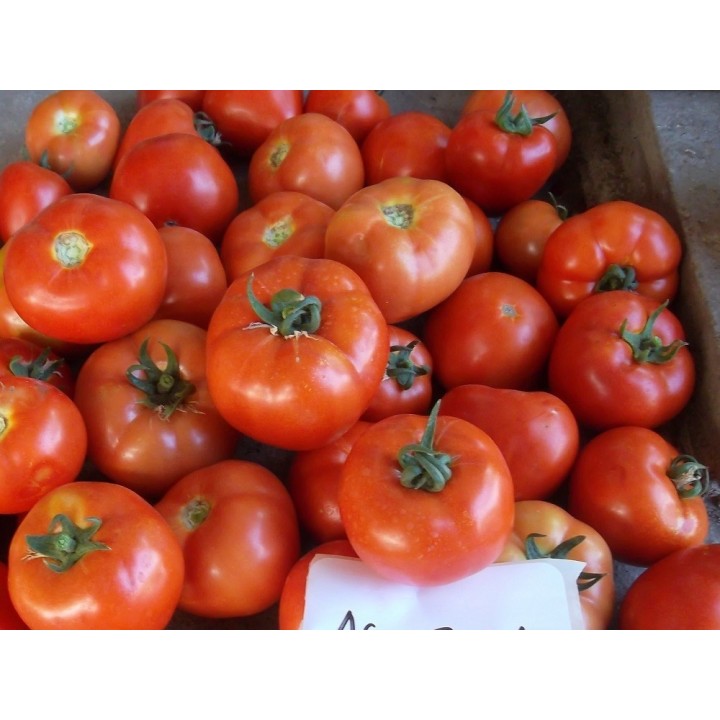 Seminte Tomate OLTENA F1 Hektar - 100 seminte