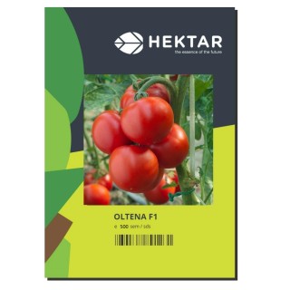 Seminte Tomate OLTENA F1 Hektar - 500 seminte