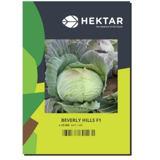 Seminte Varza BEVERLY HILLS F1 Hektar - 10.000 seminte