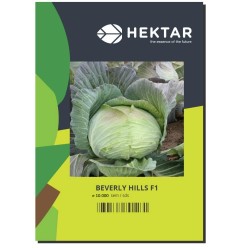 Seminte Varza BEVERLY HILLS F1, Hektar - 10.000 seminte, Timpuriu