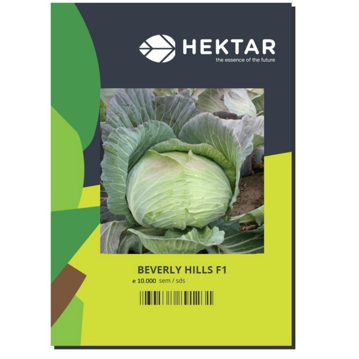 Seminte Varza BEVERLY HILLS F1 Hektar - 10.000 seminte