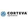 Erbicid STORY - 1 Litru, Corteva, Porumb