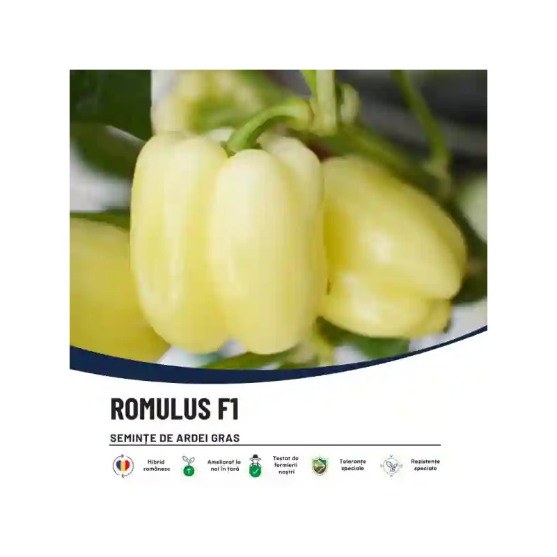 Seminte Ardei ROMULUS F1, Hektar – 100 seminte | Hibrid romanesc