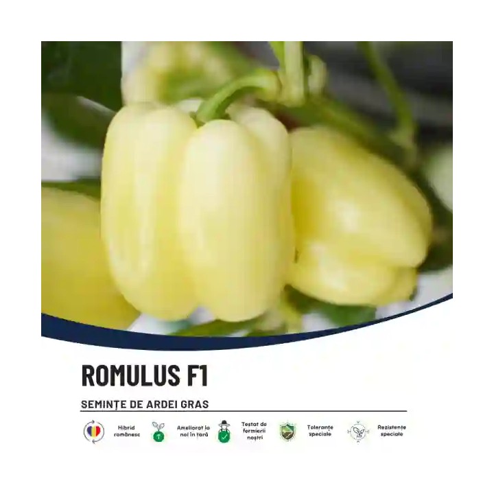 Seminte Ardei ROMULUS F1, Hektar – 100 seminte | Hibrid romanesc