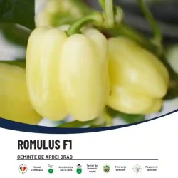 Seminte Ardei Gras ROMULUS F1, Hektar – 500 seminte, Hibrid romanesc pentru productii mari