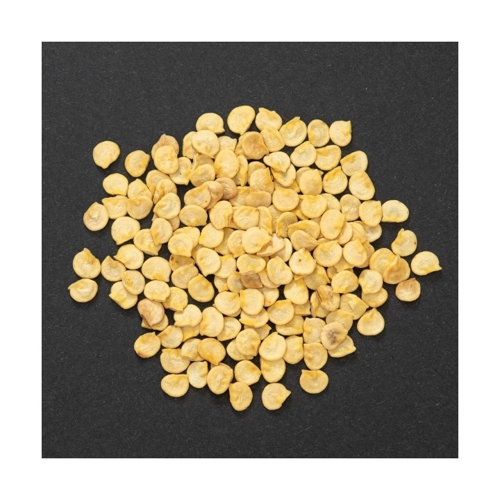 Seminte Ardei TURDA F1 – 500 seminte Hektar | Productivitate ridicata