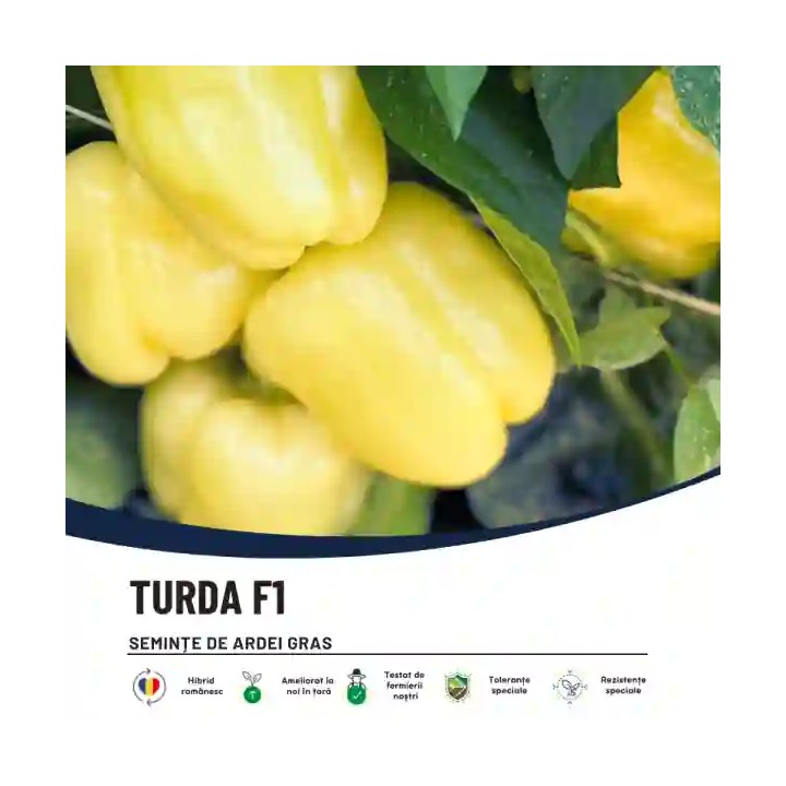 Seminte Ardei TURDA F1 – 50 seminte Hektar | Productivitate ridicata