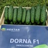 Seminte Castraveti Cornison DORNA F1, Hektar - 100 seminte, Hibrid foarte timpuriu