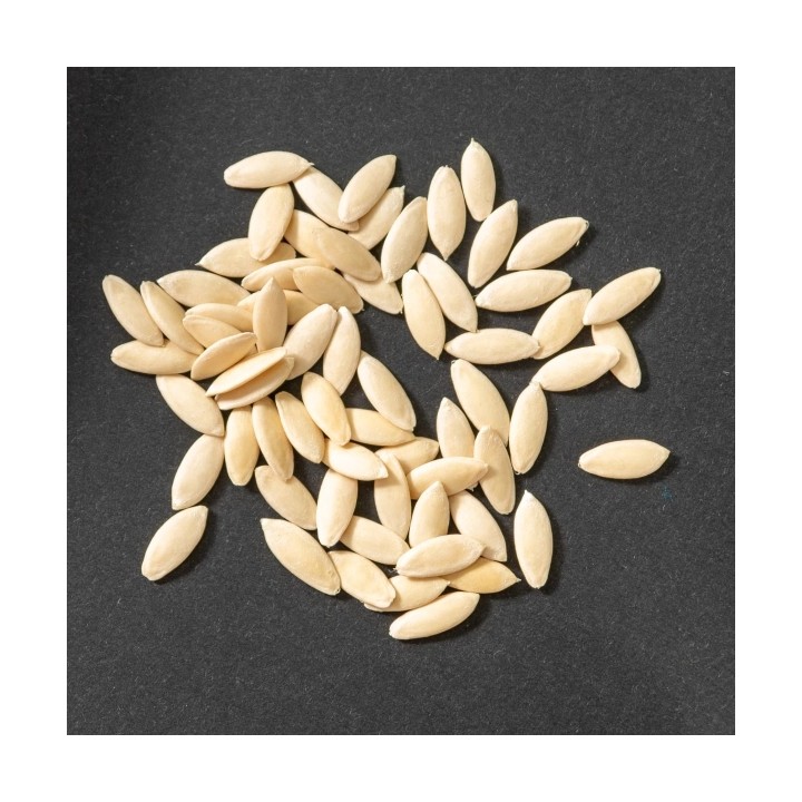 Seminte castraveti TISA F1 Cornichon – 50 seminte Hektar