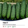 Seminte Castraveti Cornison TISA F1, Hektar - 50 seminte, Hibrid partenocarpic timpuriu