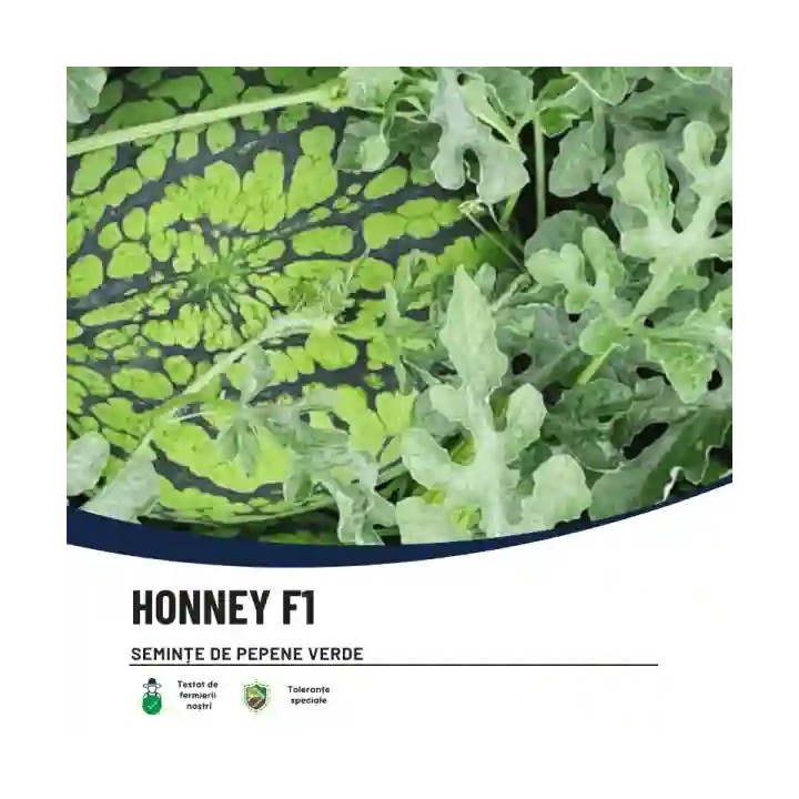 Seminte pepene verde HONNEY F1 Hektar, Miez galben – 100 Seminte