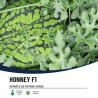 Seminte pepene verde HONNEY F1 Hektar – 100 seminte, Pepene cu miez galben extratimpuriu