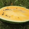 Seminte pepene verde HONNEY F1 Hektar – 100 seminte, Pepene cu miez galben extratimpuriu