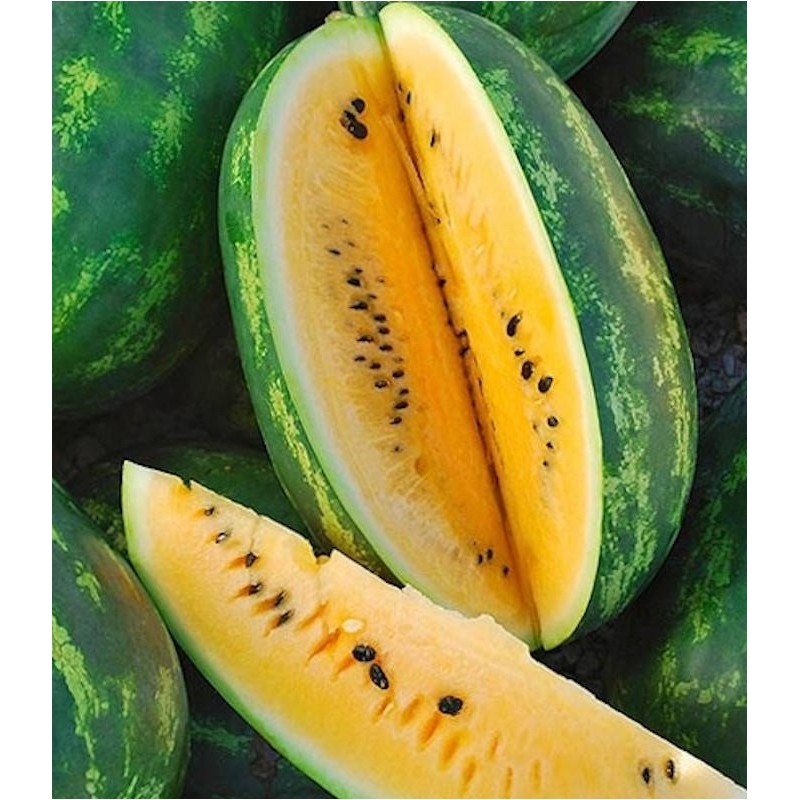 Seminte pepene verde HONNEY F1 Hektar, Miez galben – 100 Seminte