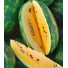 Seminte pepene verde HONNEY F1 Hektar – 100 seminte, Pepene cu miez galben extratimpuriu
