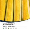 Seminte Porumb zaharat ACCENTUATE F1 Hektar - 5.000 seminte, Hibrid extra dulce timpuriu