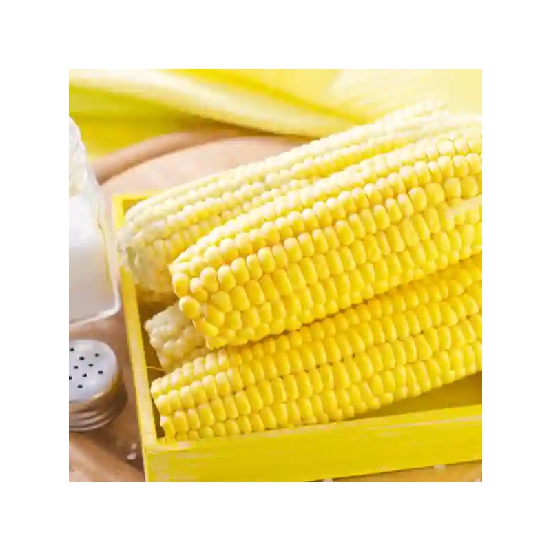 Porumb zaharat GLIKOS F1 Hektar –  2.500 Seminte, Porumb dulce