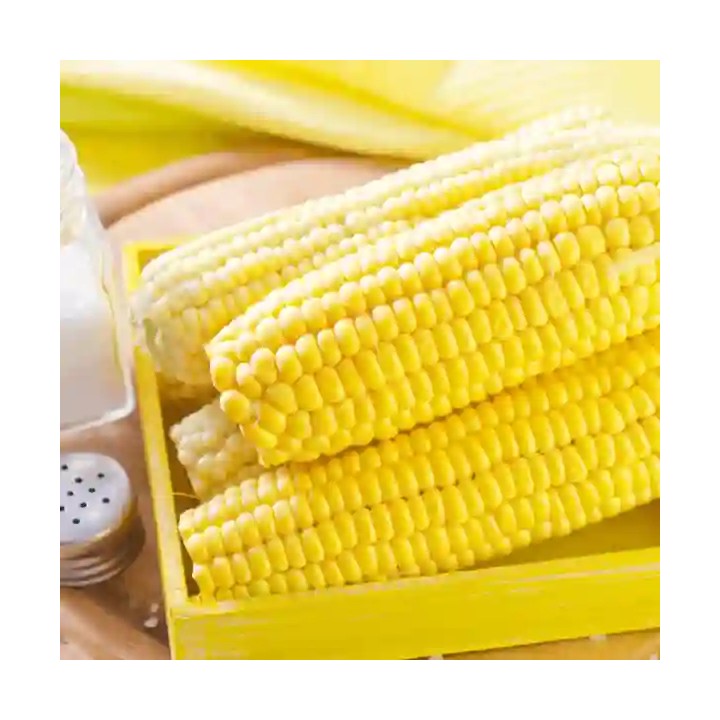 Porumb zaharat GLIKOS F1 Hektar –  2.500 Seminte, Porumb dulce