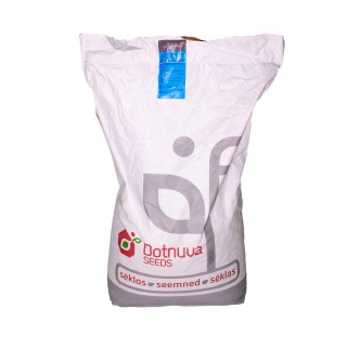 Seminte TRIFOI ROSU, 25 kg