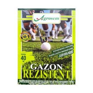 Seminte Gazon REZISTENT - 1 kg