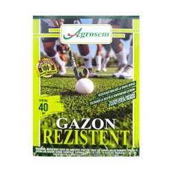 Seminte Gazon REZISTENT - 1 kg