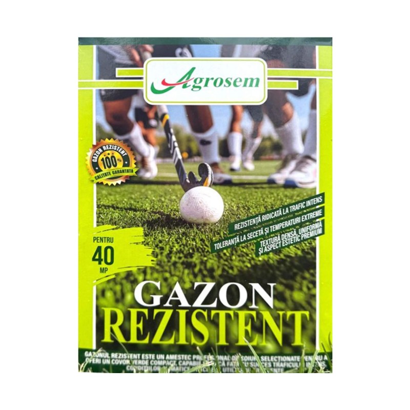 Seminte Gazon REZISTENT - 1 kg