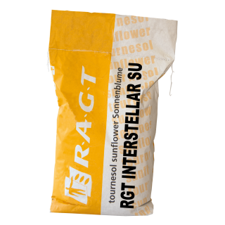 Seminte Floarea Soarelui RGT INTERSTELLAR SU