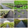 Folie AGROTEXTIL HORTI A-Z, Neagra, 100 g/m2 - rola 1 x 100 m