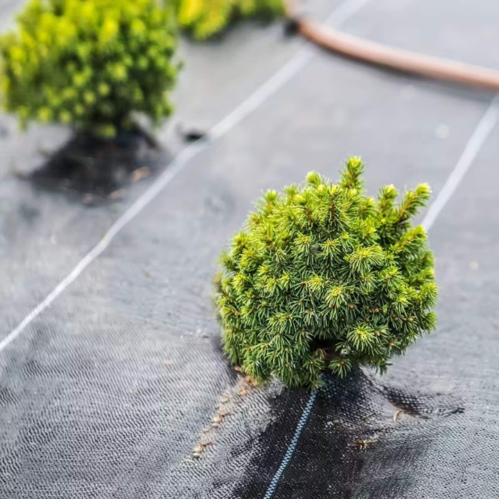 Folie antiburieni AGROTEXTIL HORTI A-Z, Rola 1 x 100 m, Greutate 100 gr/m2