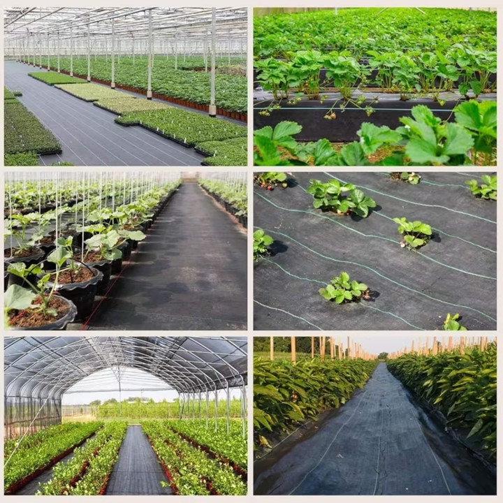 Folie AGROTEXTIL HORTI A-Z, Rola 0,5 x 100 m