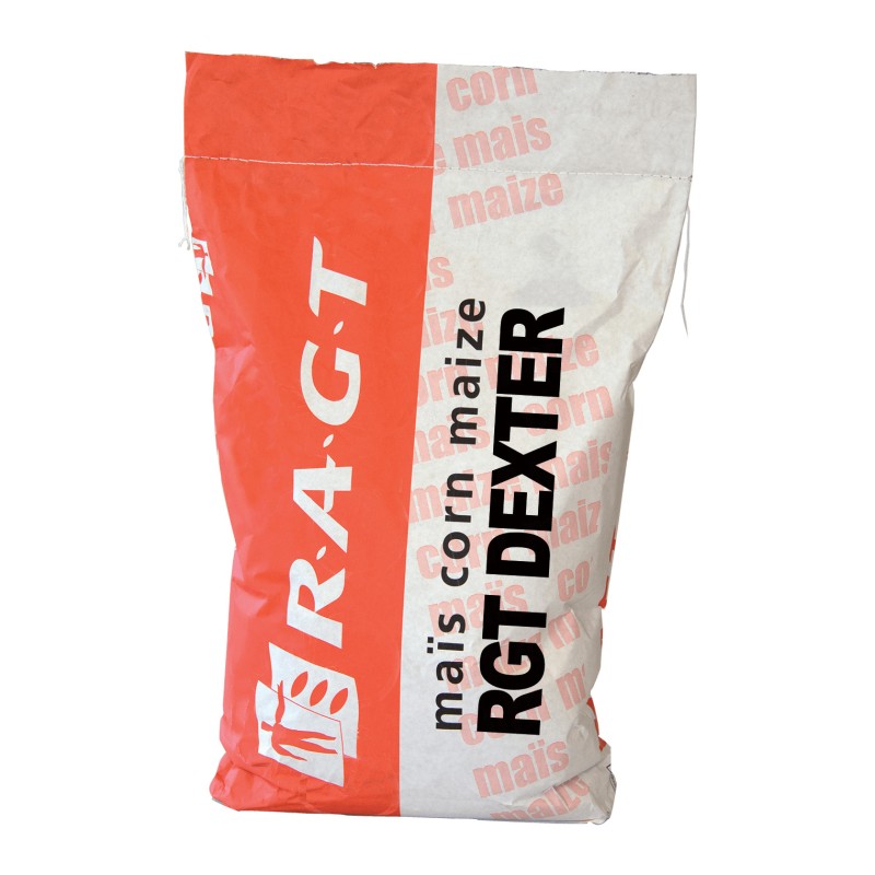 Samanta Porumb RGT DEXTER, FAO 310 - Sac 50.000 boabe