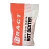 Samanta Porumb RGT DEXTER, FAO 310 - Sac 50.000 boabe