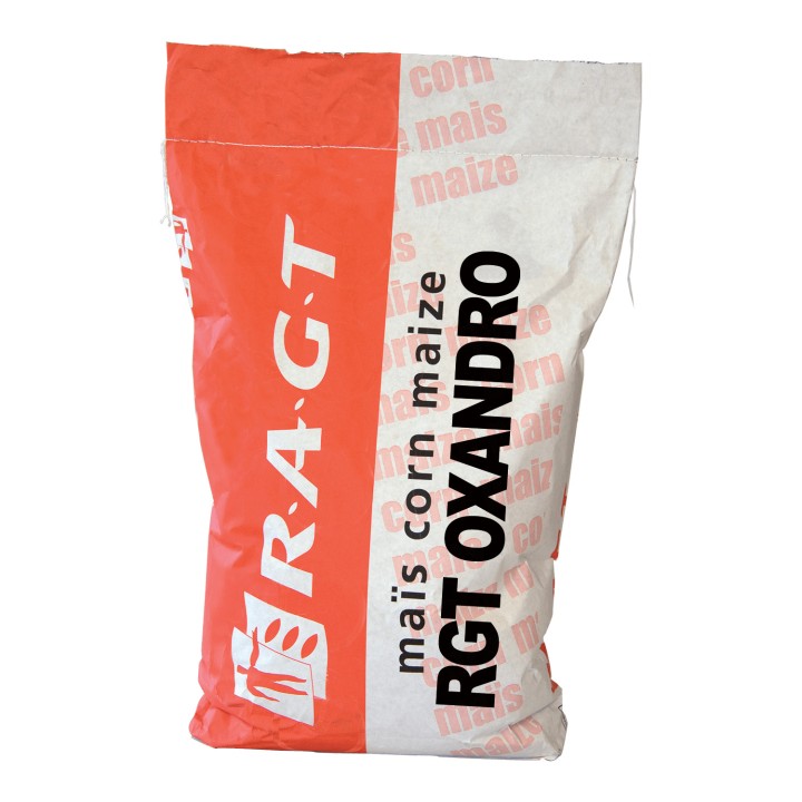 Samanta Porumb RGT OXANDRO, FAO 380 - Sac 50.000 boabe