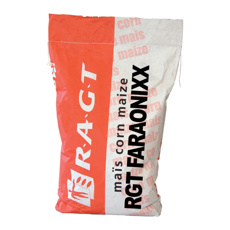 Samanta Porumb RGT FARAONIXXX, FAO 580 - Sac 50.000 boabe