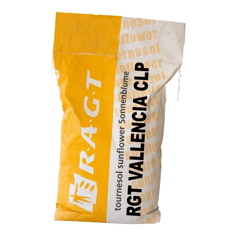 Seminte Floarea Soarelui RGT VALLENCIA CLP