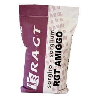 Samanta Sorg RGT AMIGGO, Semi-Timpuriu - Sac 300.000 seminte