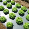 Folie mulcire HORTI A-Z, Neagra, Neperforata, 15 microni - rola 1 x 100 m